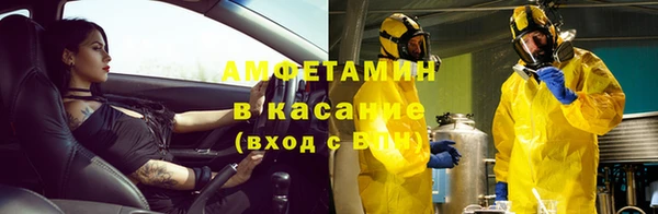 молекула духа Арсеньев
