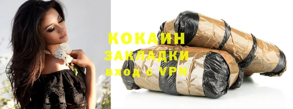 молекула духа Арсеньев