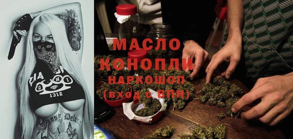 молекула духа Арсеньев