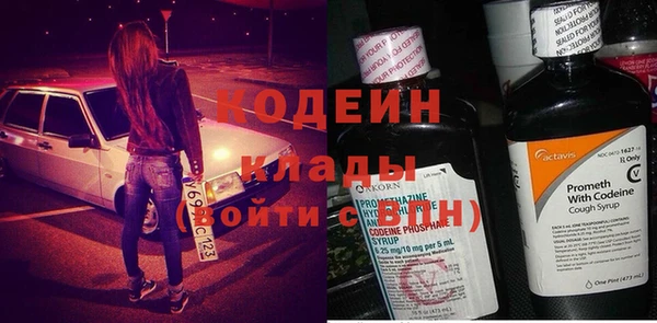 молекула духа Арсеньев