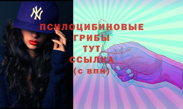 молекула духа Арсеньев