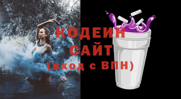 молекула духа Арсеньев